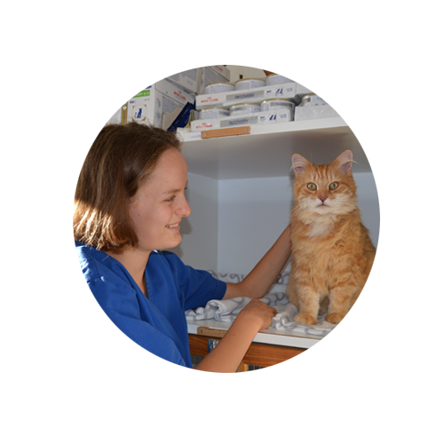 Stationäre Behandlung - Tierarzt Salzburg